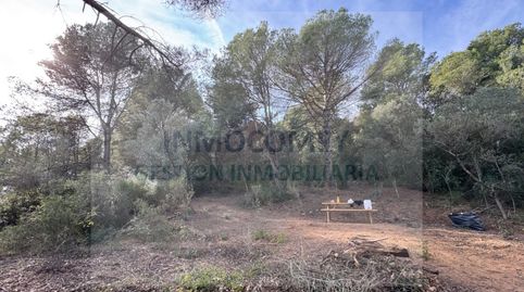 Terreno rustico en venta en Ullastret, immagine 2