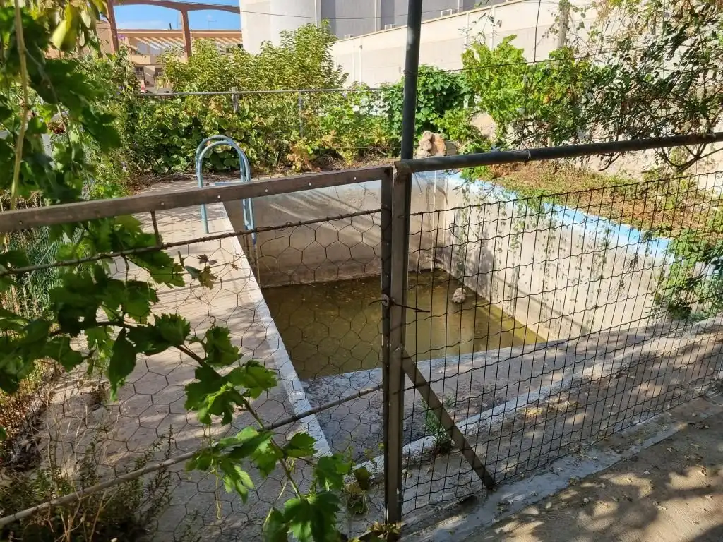 Piscina de Casa o chalet en venta en Alhama de Almería con Jardín privado, Terraza y Piscina