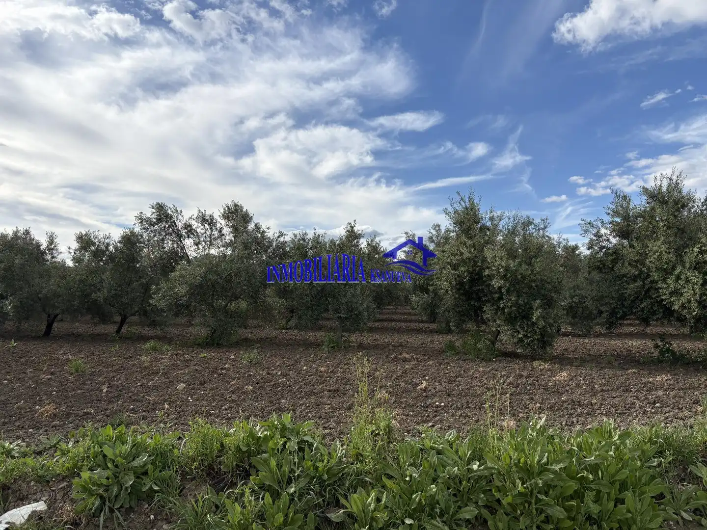 Finca rústica en venda en El Carpio