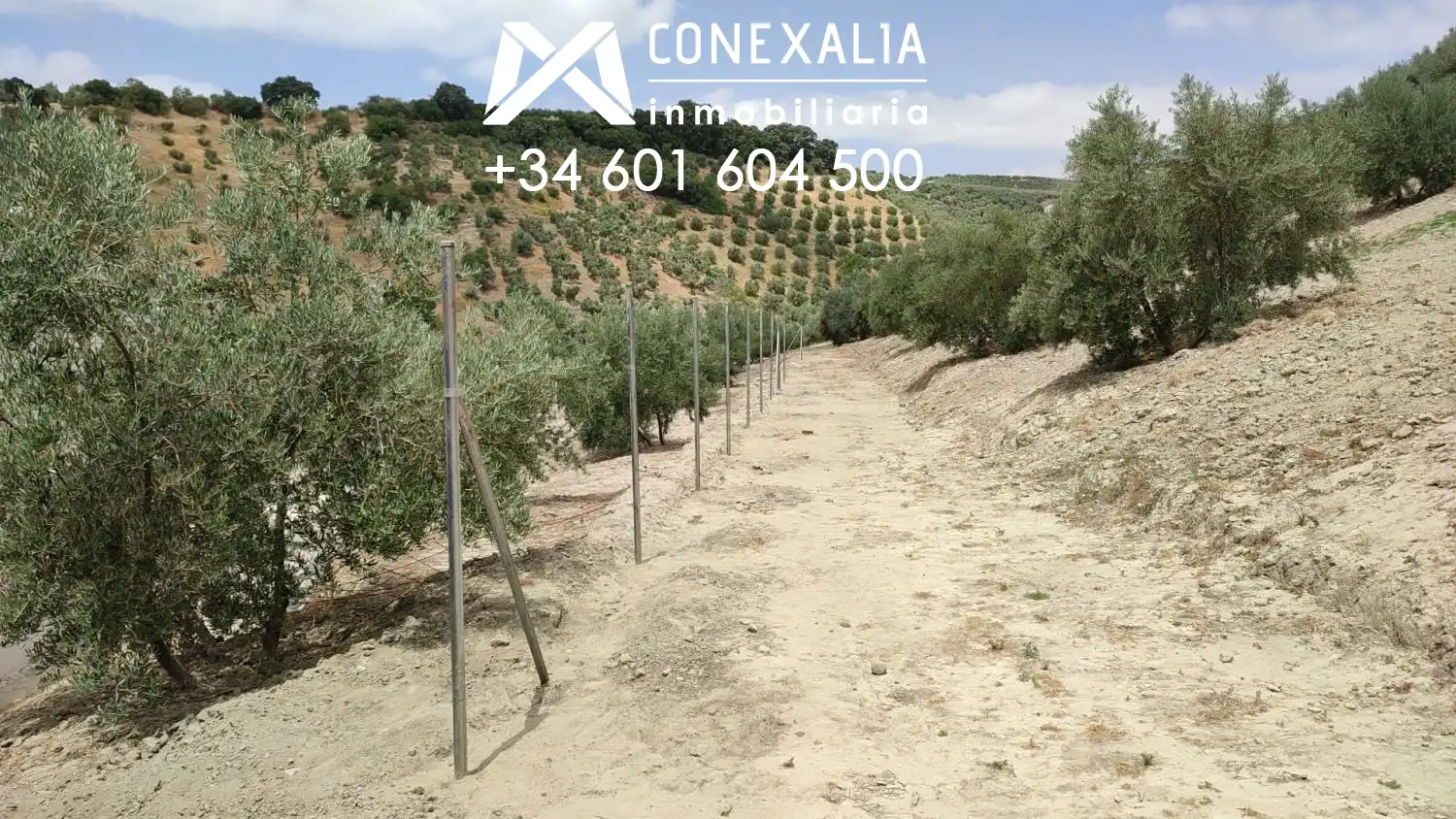 Country homes for sale in Alcalá del Valle