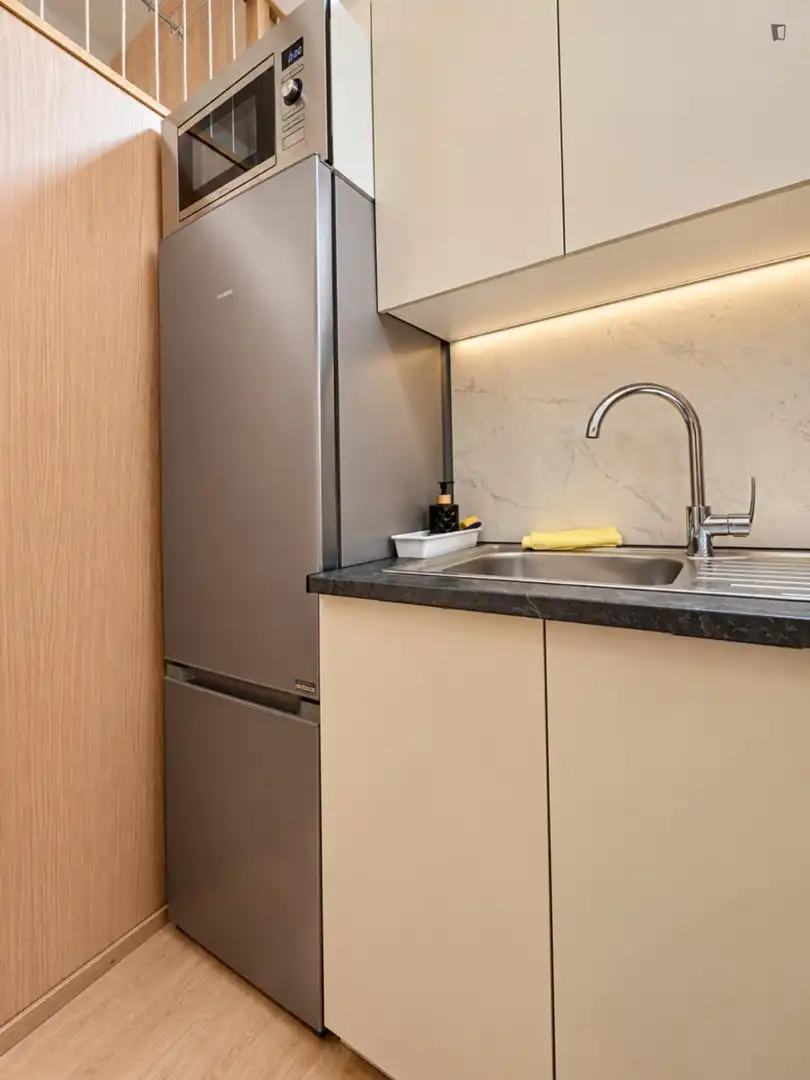 Kitchen of Apartments for rent in Latina
