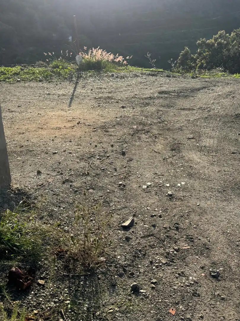 Terreno rústico en venta en Canillas de Aceituno, imagen 5