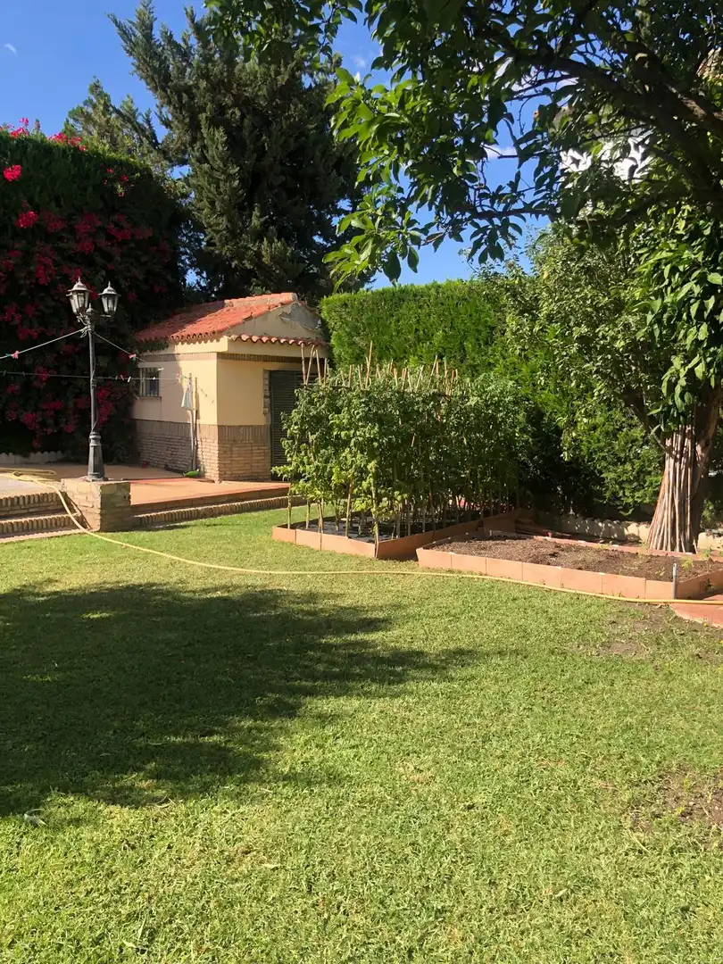 Villa con terrazza in vendita a Cerros de Montequinto, imagen 15
