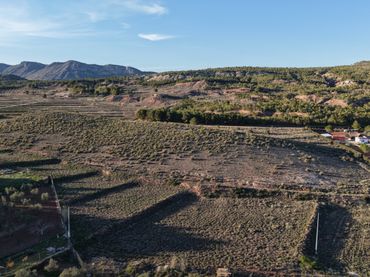 Wohnbaugrundstück zum Verkauf in Yecla