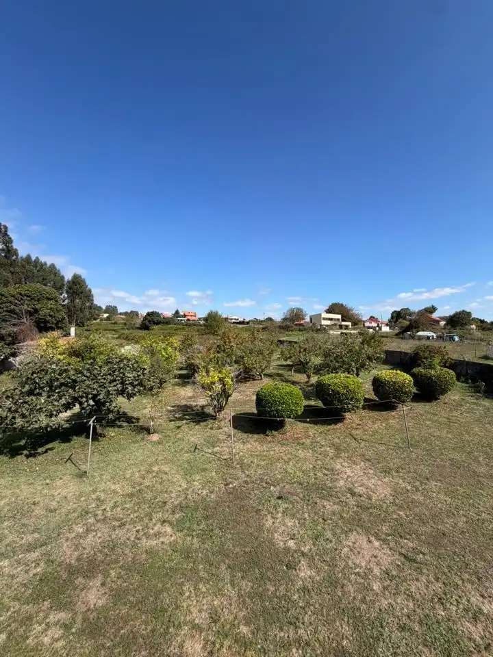 House with pool for sale in Aldea Lamela, imagen 10