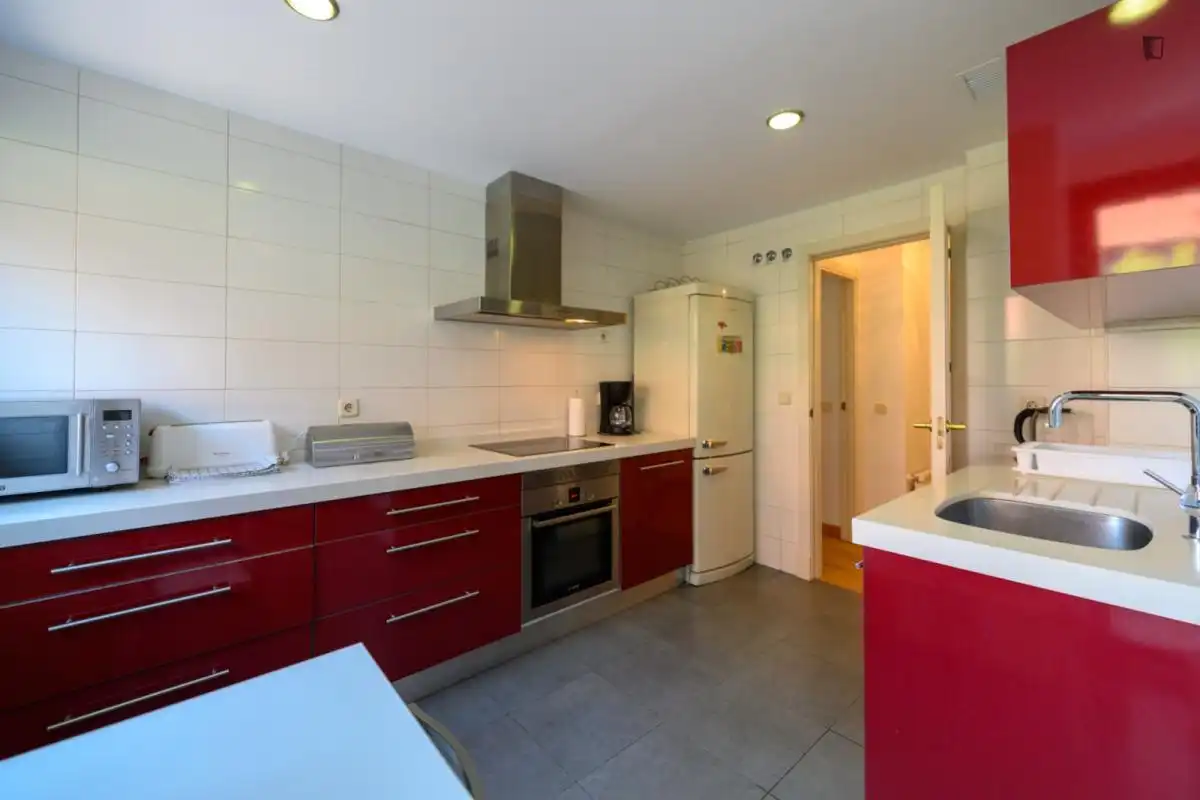Cuina de Apartament de lloguer en Madrid amb Calefacció, Moblat i Forn