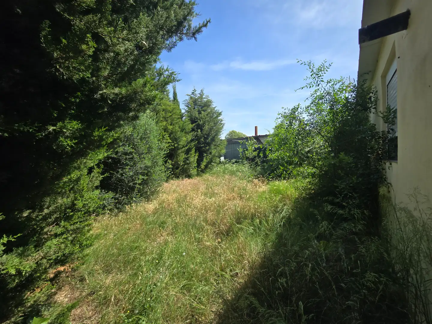 Landhaus mit Pool zum Verkauf in Calle A Los Cipreses 2, imagen 6