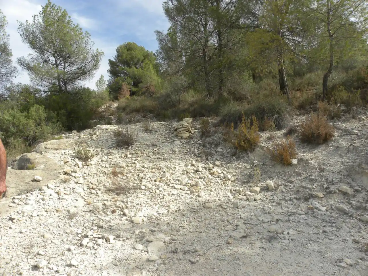 Terreno residencial en venta en Caravaca de la Cruz, imagen 15