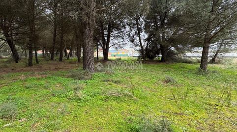 Photo 5 of Land for sale in Traspinedo, Valladolid