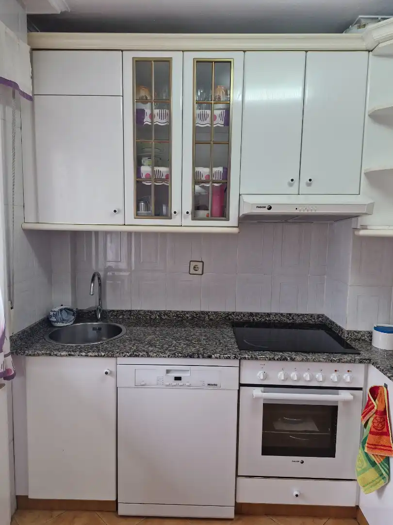 Cocina de Piso de alquiler en Derio con Calefacción, Parquet y Terraza