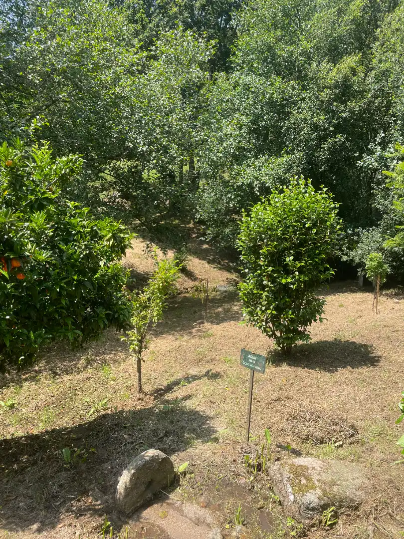 Xalet amb jardí en venda a Picouso, imagen 52