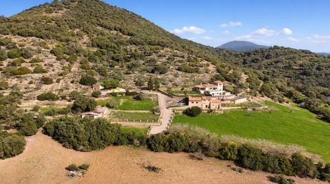 Exclusiva finca mallorquina del siglo XIX Son Mesquida Vell, Manacor...Precio de venta 2 800 000 ...En medio del paisaje virgen de, imatge 3