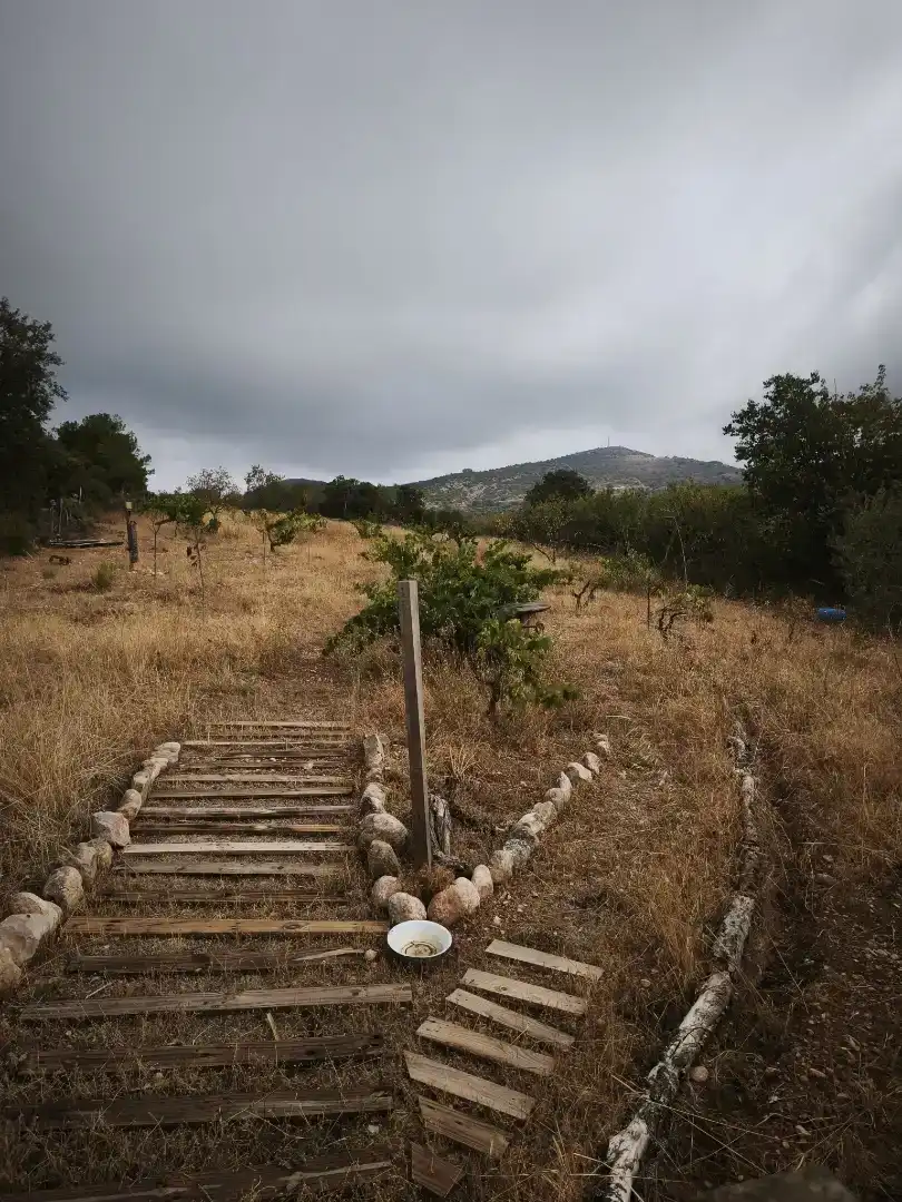 Finca rústica en venda en Peralta de Calasanz