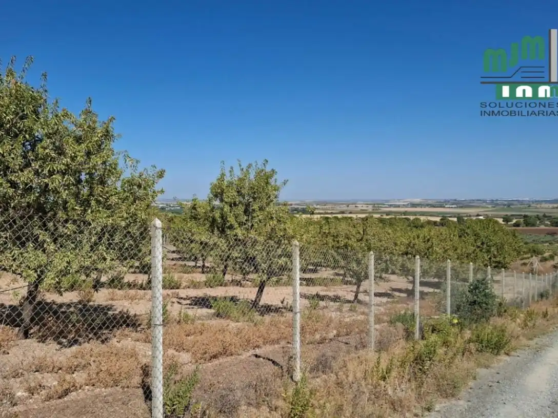 Rural land for sale in Avda. Blas Infante 33, imagen 3
