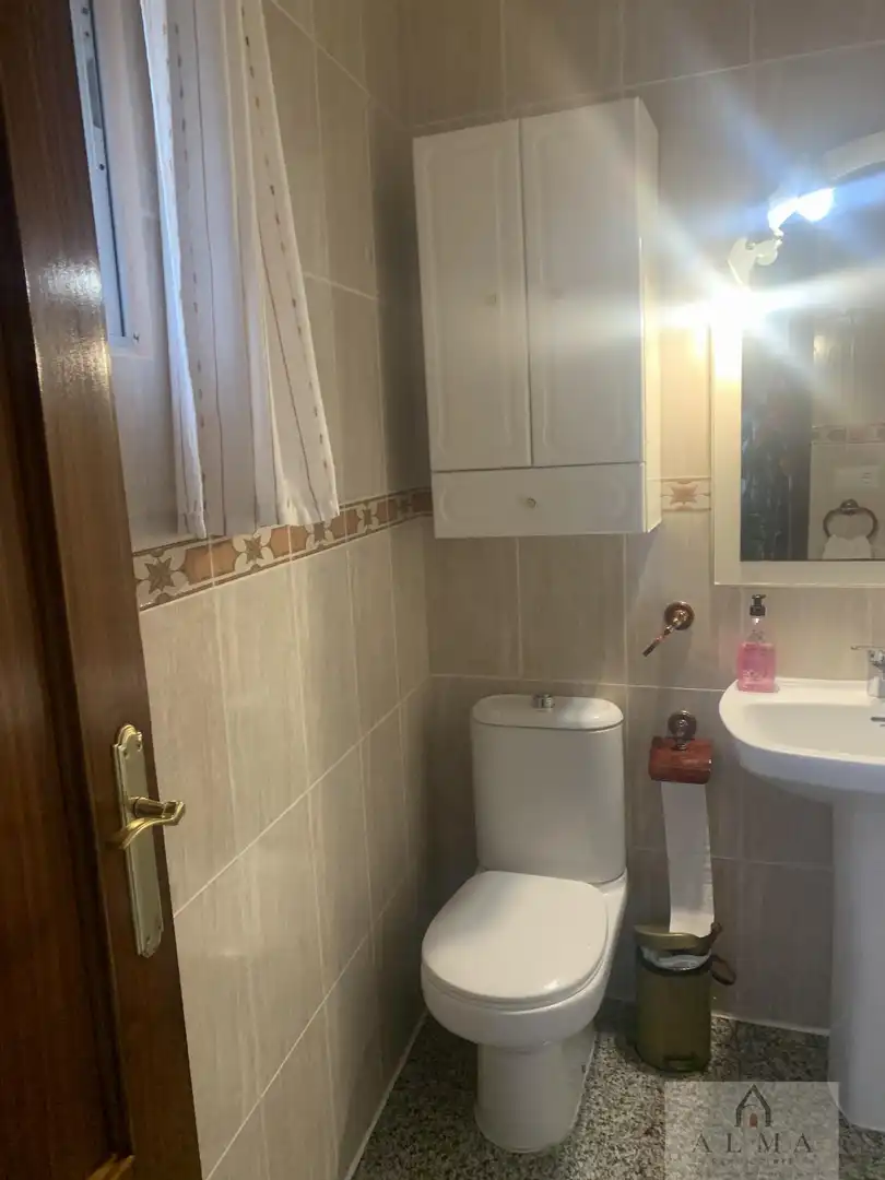 Baño de Casa o chalet en venta en Almendralejo