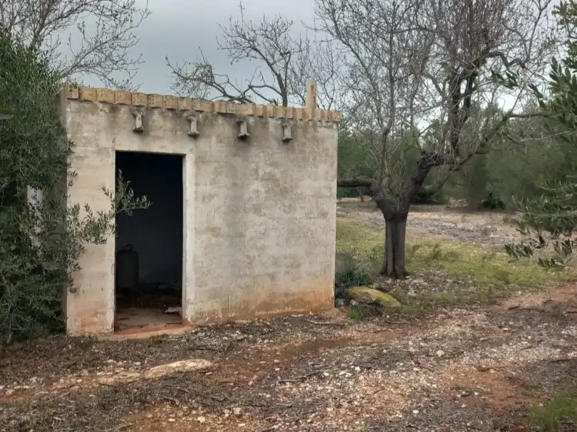 Rural land for sale in Partida pins 1, imagen 6