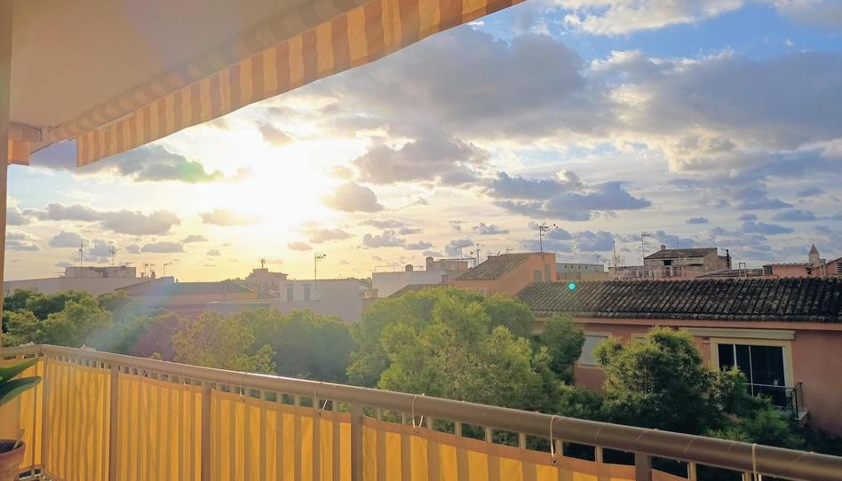 Photo 1 of Flat for sale in Porto Cristo, Illes Balears