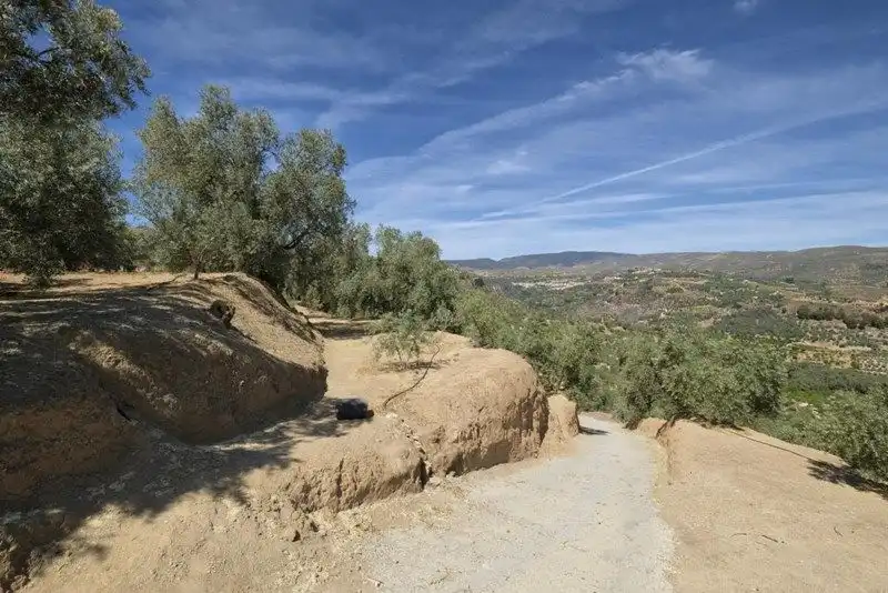 Terreno rustico in vendita a Travesia Jose Mariano Vallejo 4, imagen 18