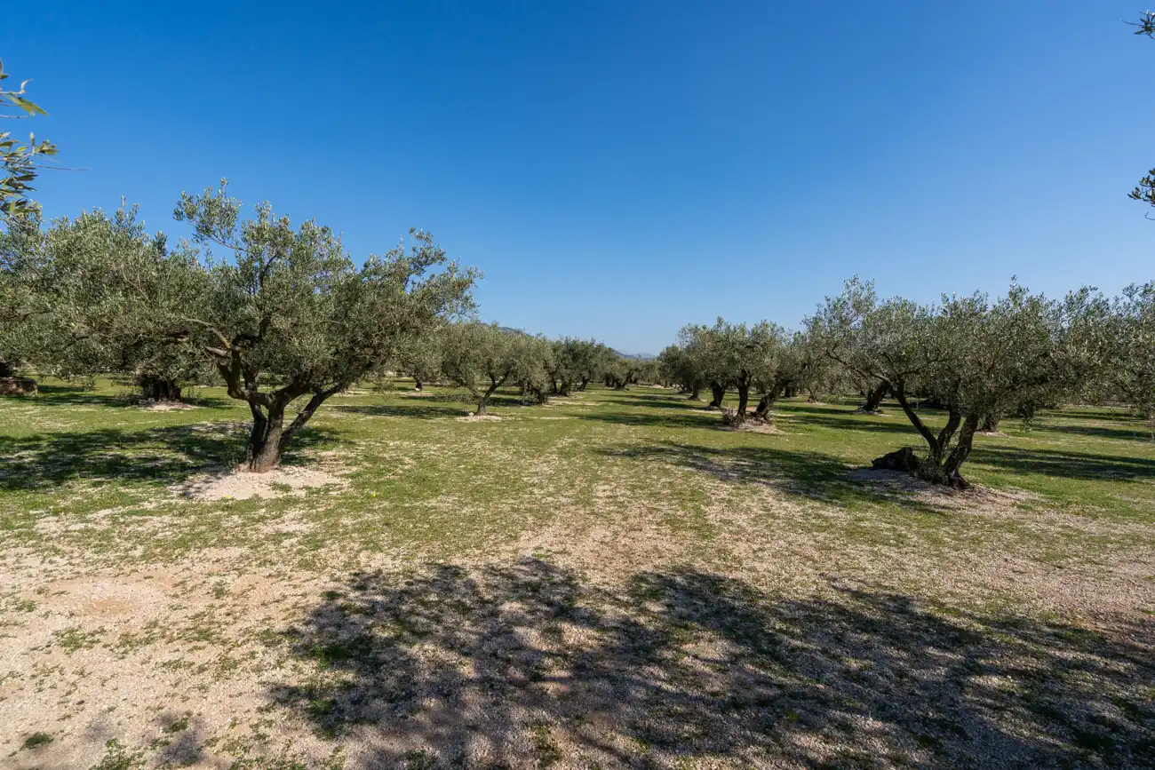 Terrain rustique à vendre à Roquetes, imagen 27