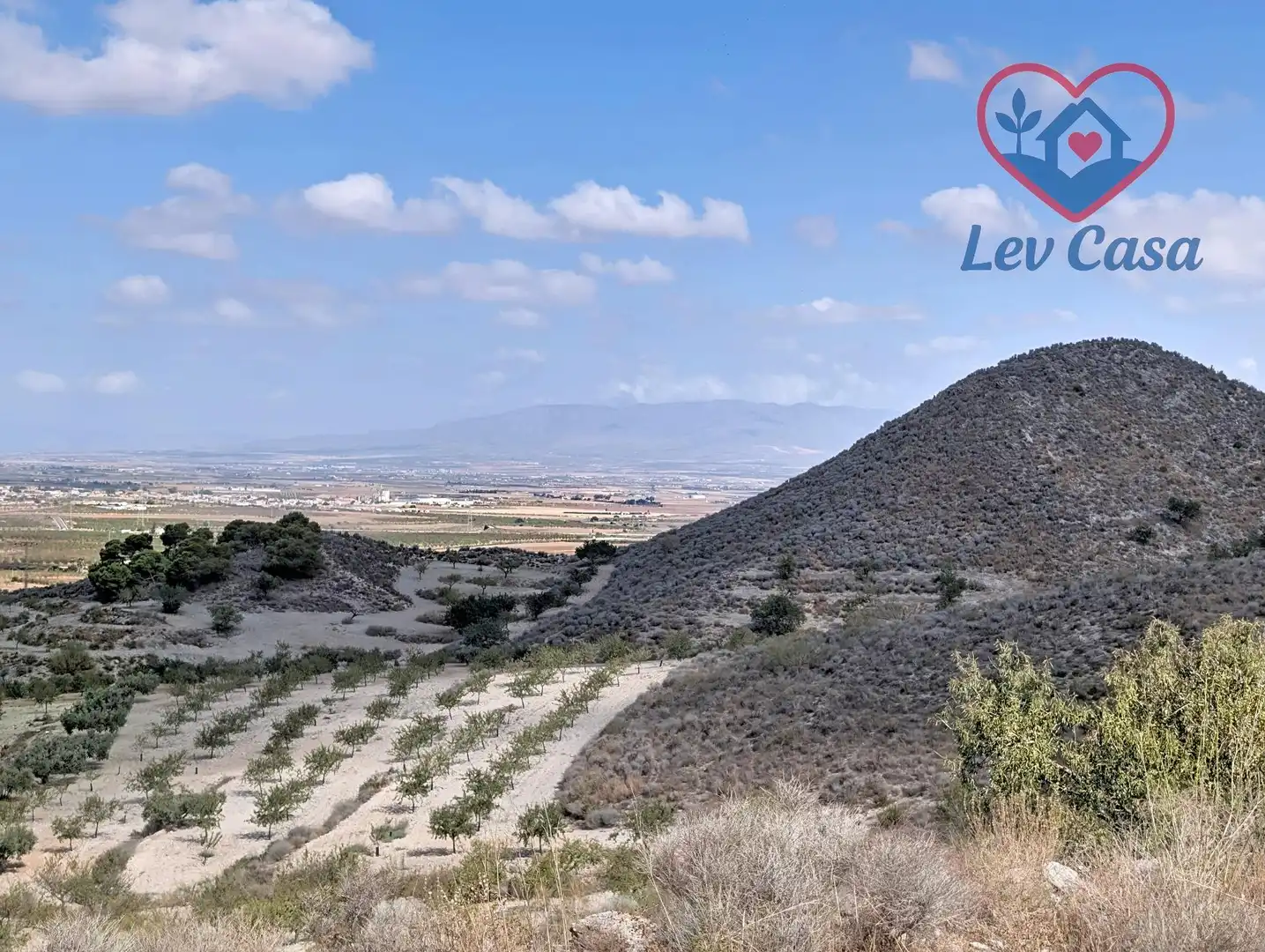 Terreno rustico in vendita a Playa del Galán, imagen 3