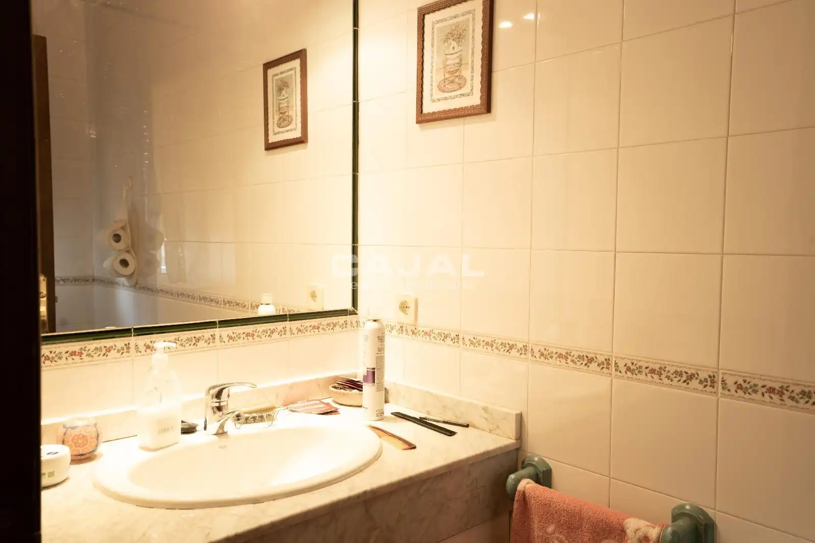 Baño de Casa adosada en venta en Riaza con Calefacción y Jardín privado