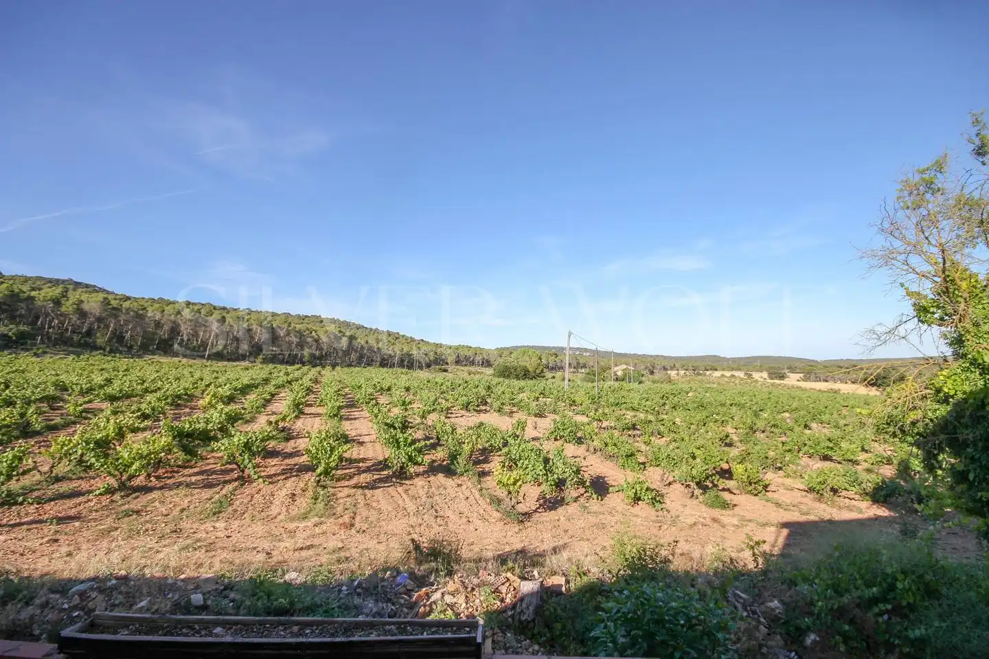 Casa o xalet en venda en Pontons amb Jardí privat, Terrassa i Traster