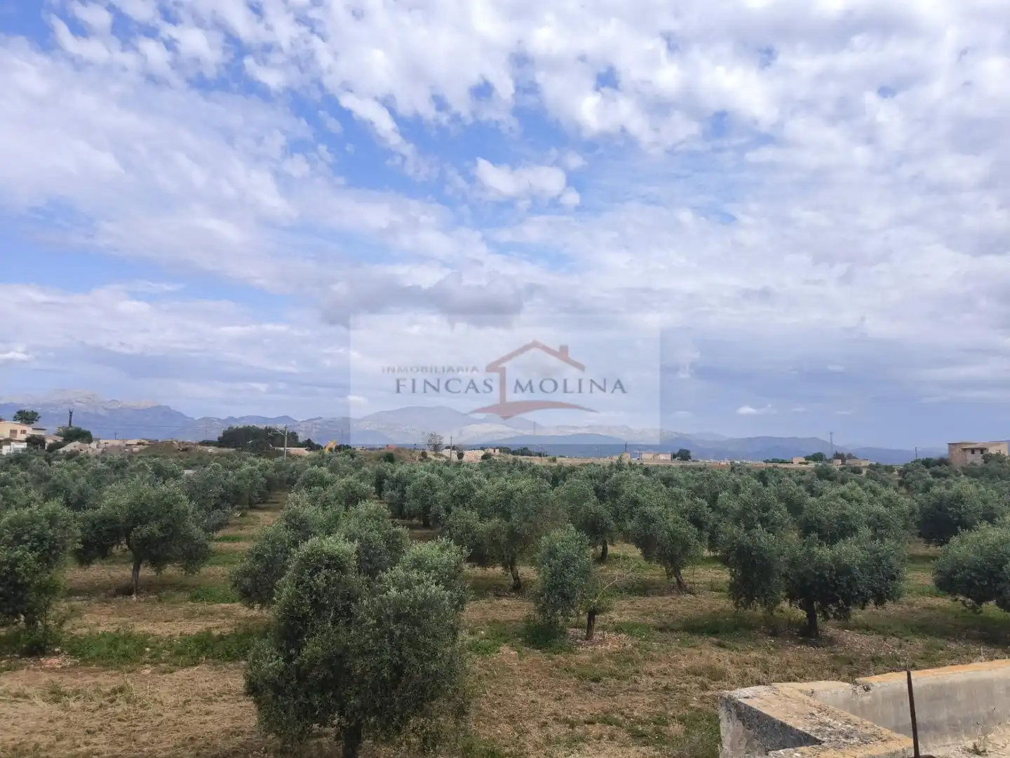 Terrenys i solars en venda a Sa Pobla, imagen 26