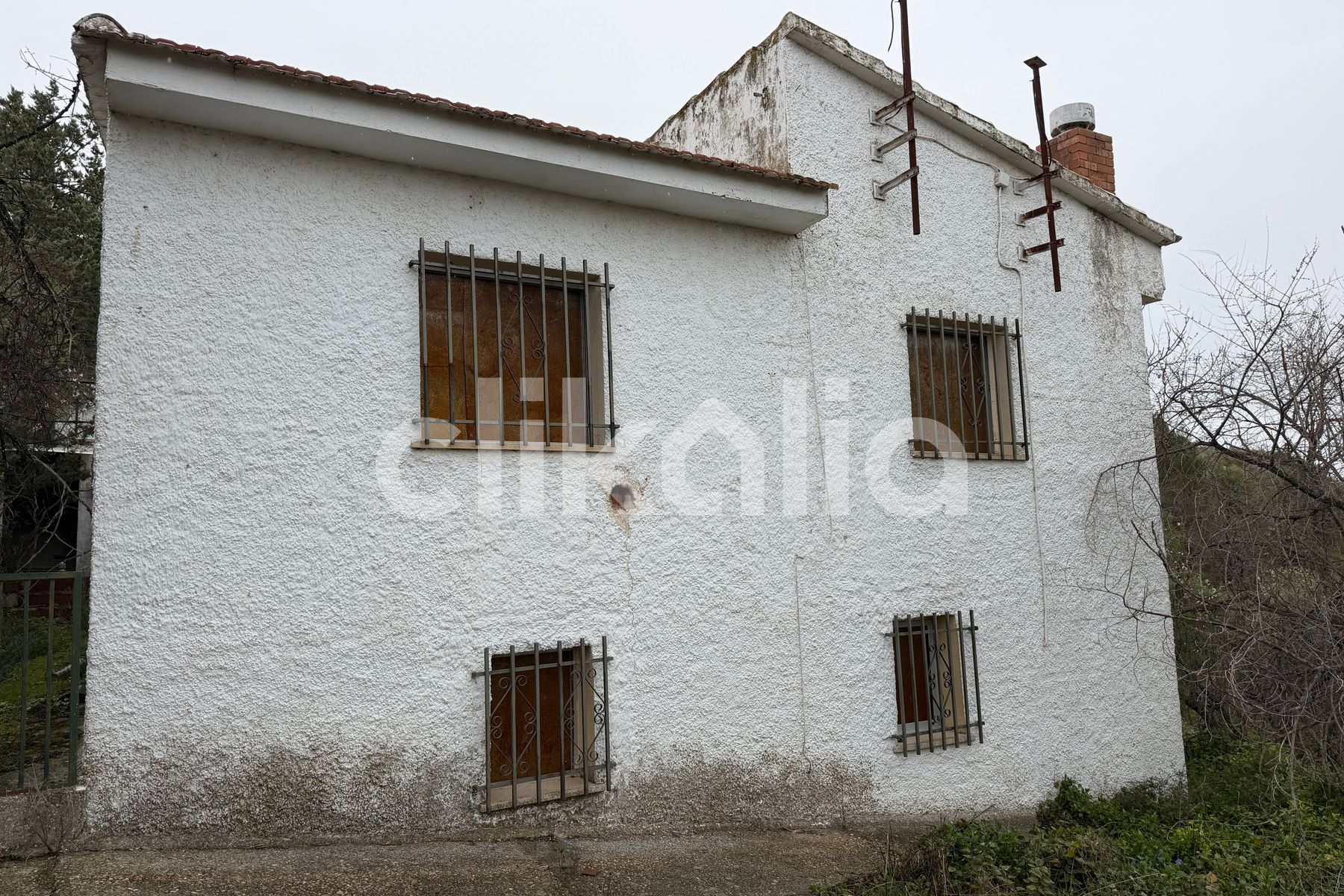 Vista exterior de Casa o chalet en venta en Brea de Tajo con Terraza y Piscina