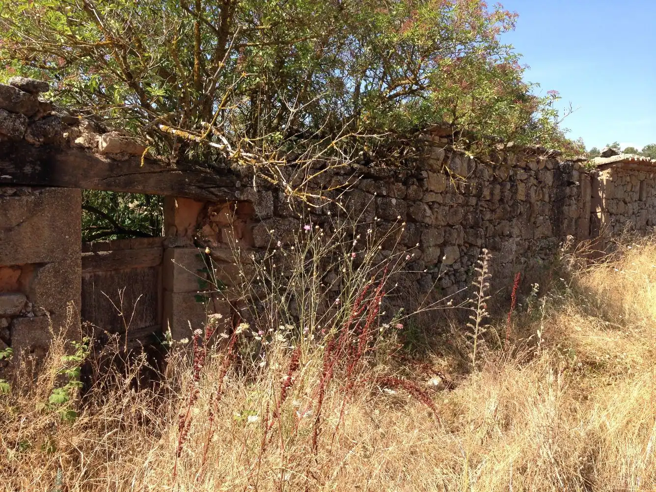 Finca rústica en venda a Pinell de Solsonès