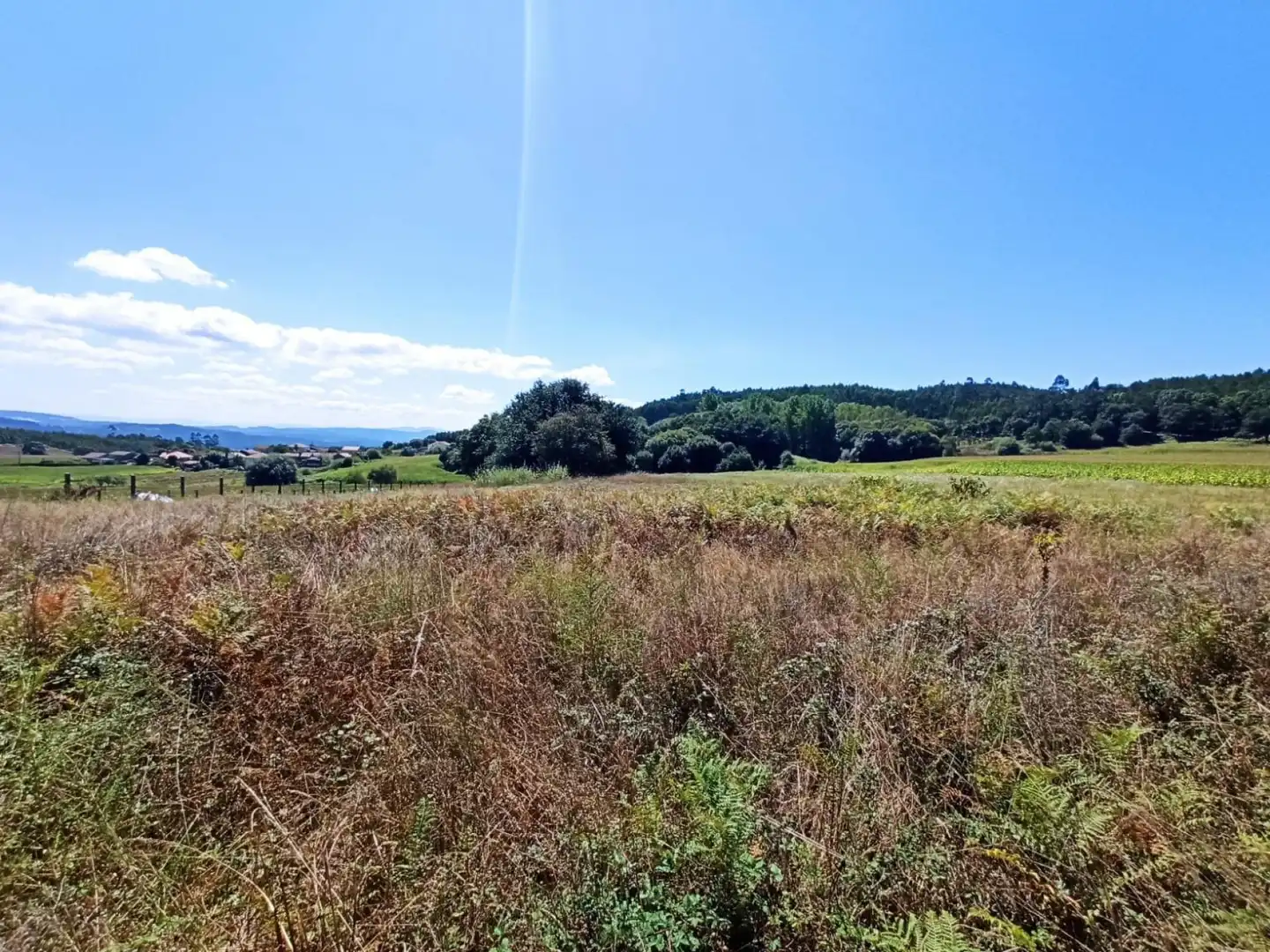 Terreno rustico in vendita a Área de Ames, imagen 11