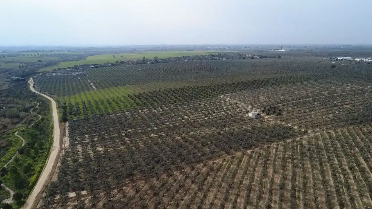 Terreno en venta en Bormujos