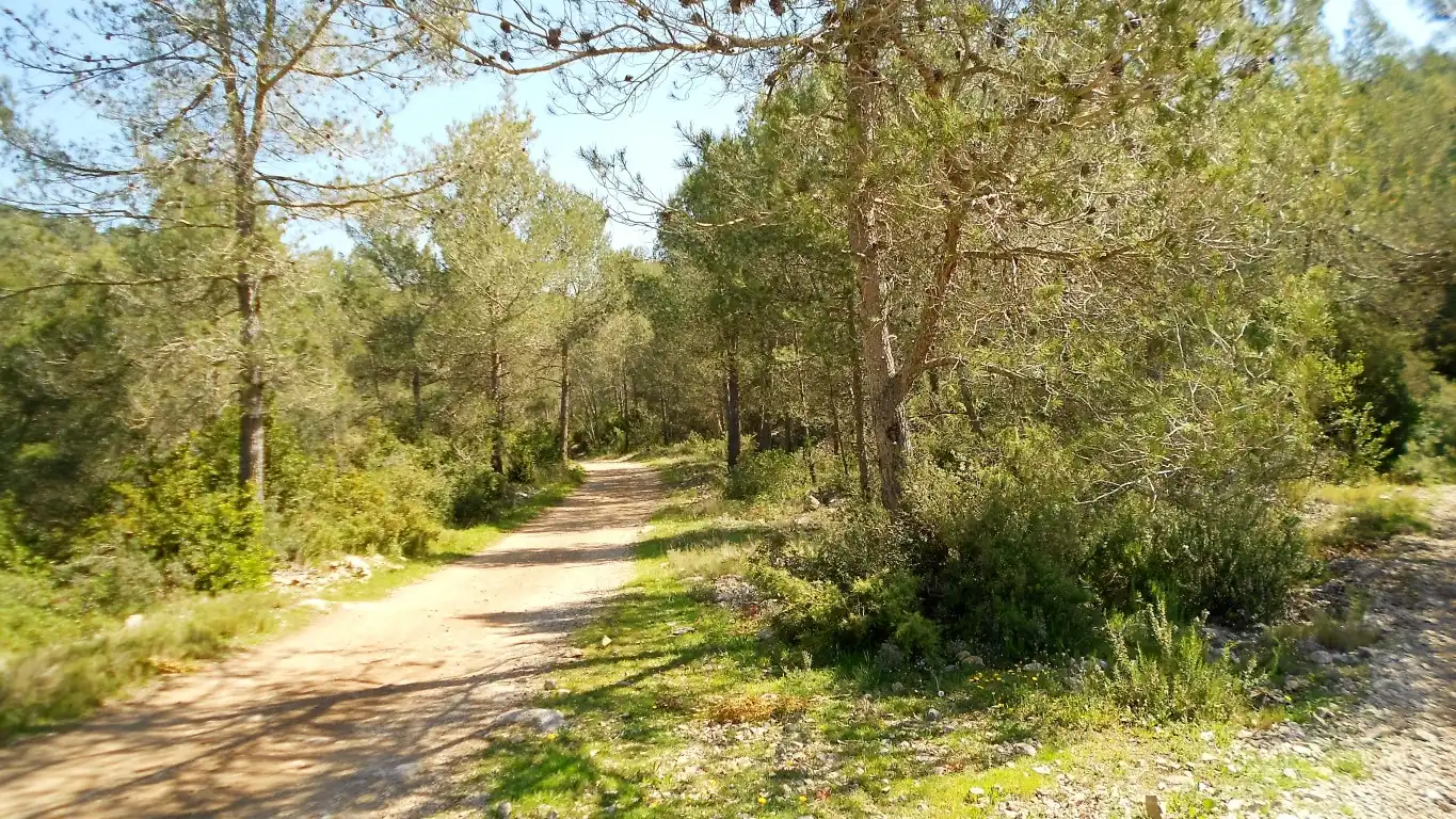 Terreno rústico en venta en Carrer Olesa de Bonesvalls 9, imagen 2