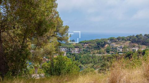Foto 3 de Terreno en venta en Santa Cristina - Sant Francesc, Blanes