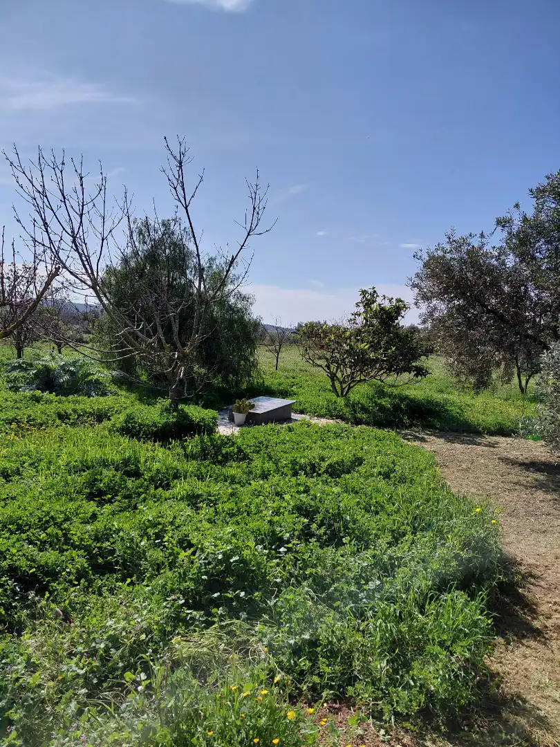 Terreno rústico en venta en Banyeres del Penedès, imagen 5