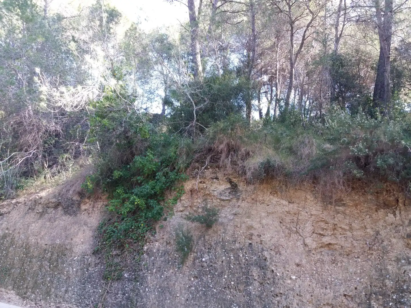 Grundstücke und Bauplätze zum Verkauf in Castellnou - Can Mir - Can Solà, imagen 6