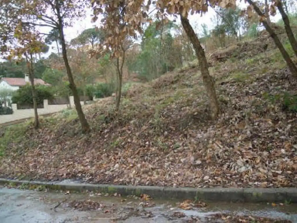 Terreny residencial en venda a Urbanización Junior Park