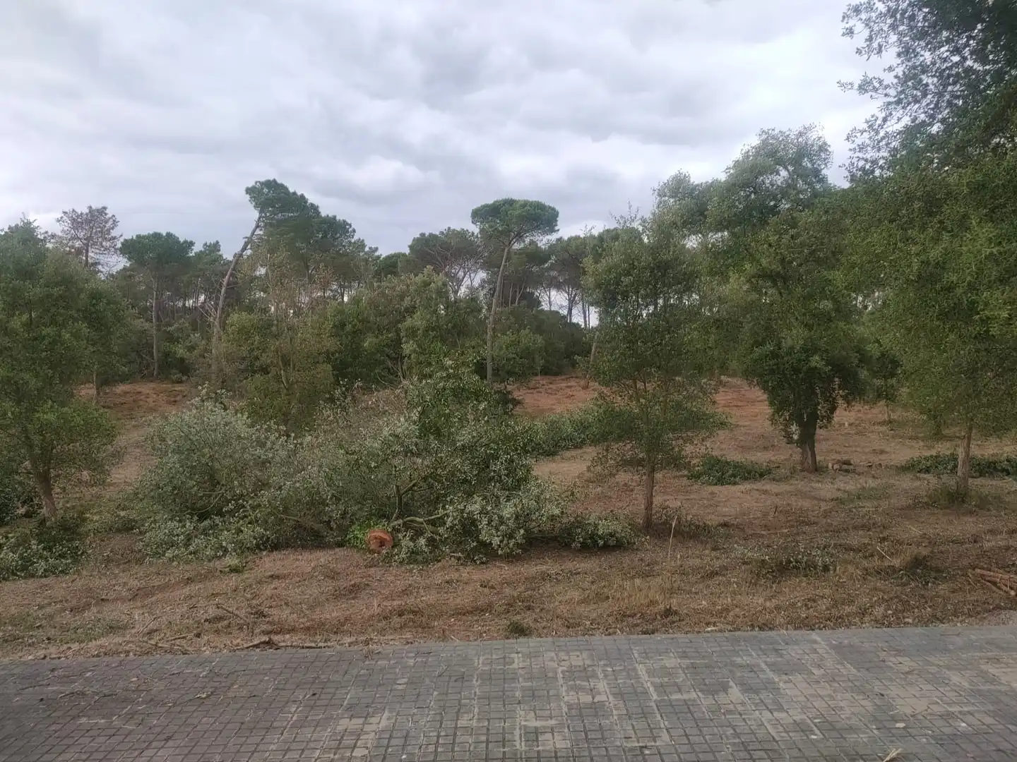 Residential land for sale in Avinguda Catalunya, imagen 6