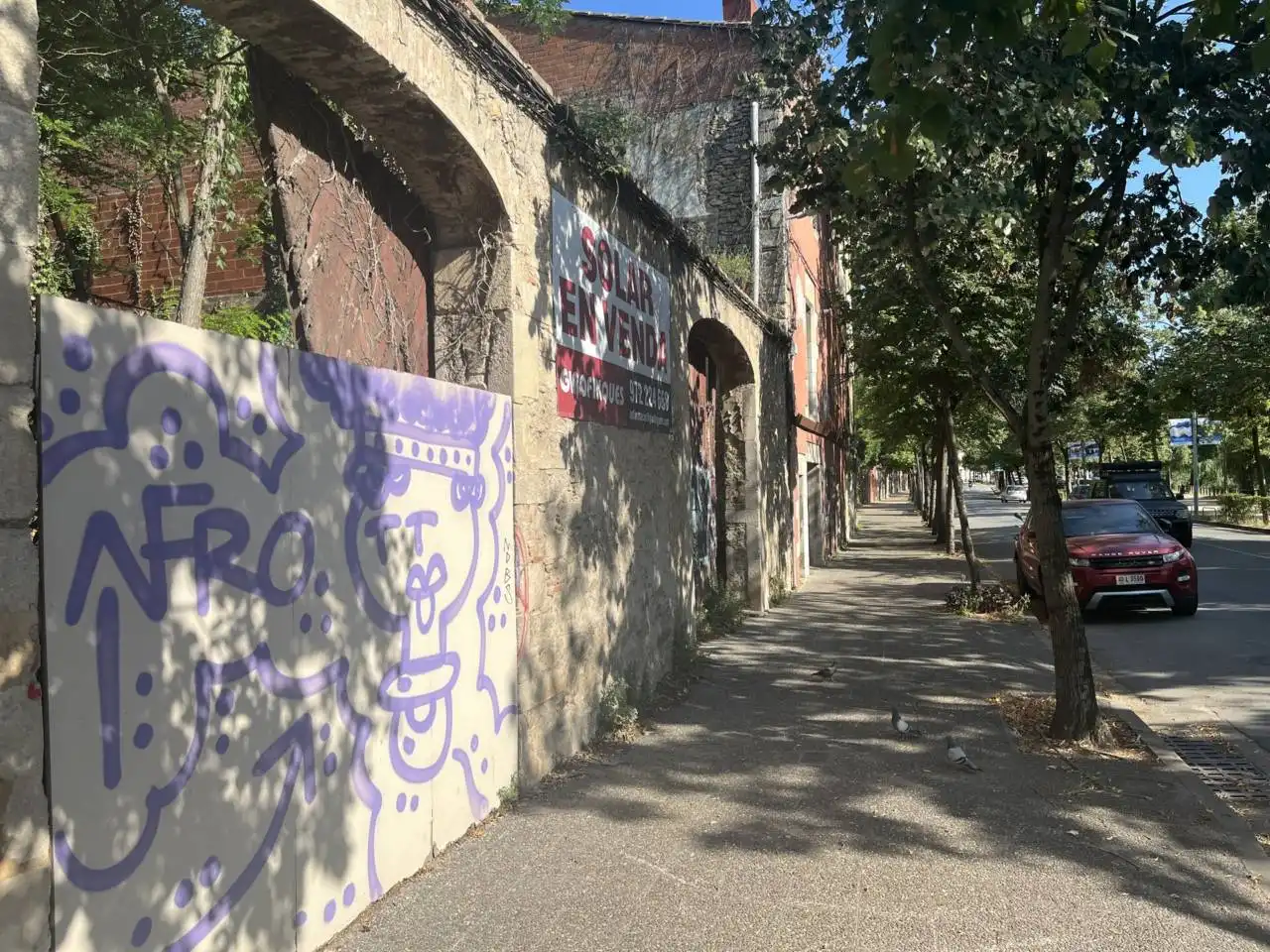 Rustikales Grundstück zum Verkauf in Pont Major - Pedret - Campdorà, imagen 2
