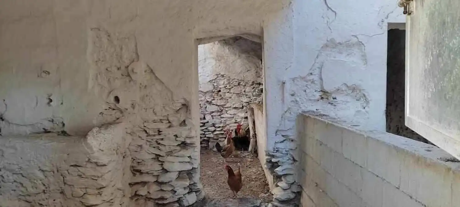 Maison rustique à vendre à Vélez-Rubio, imagen 17
