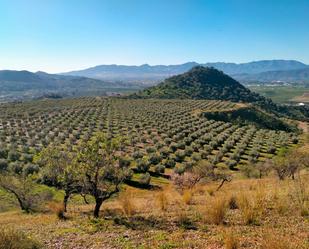 Exterior view of Land for sale in Almogía