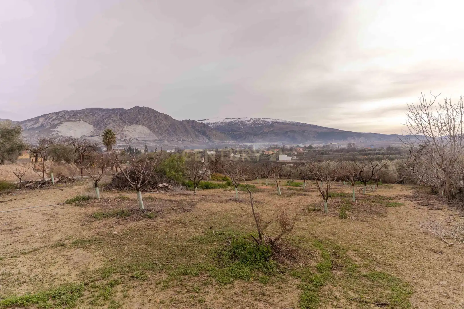 Casa o chalet en venta en Dúrcal con Jardín privado