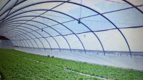 Alquiló varios fincas de regadío en Aragón