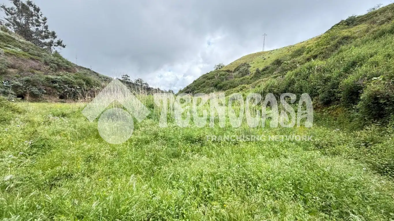 Terreno en venta en Moya (Las Palmas)