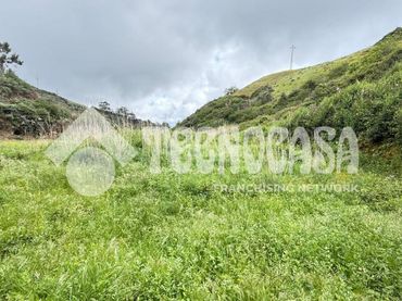 Terreno rustico in vendita a Moya (Las Palmas)
