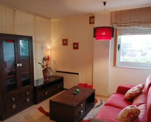 Sala d'estar de Apartament en venda en Santiago de Compostela 