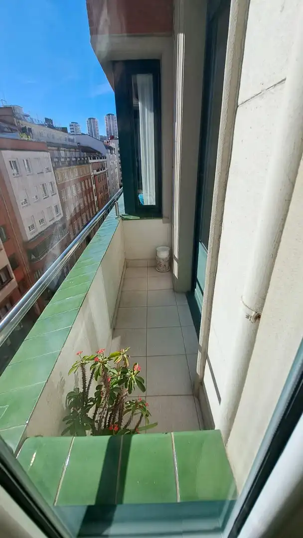 Piso con terraza en venta en Alameda DOCTOR AREILZA, imagen 9
