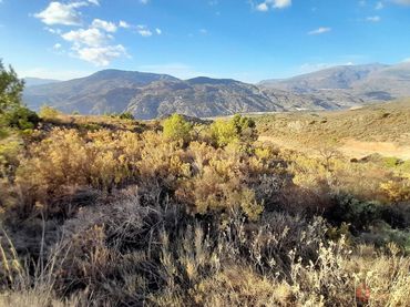 Terrenos y solares en venta en Vélez de Benaudalla