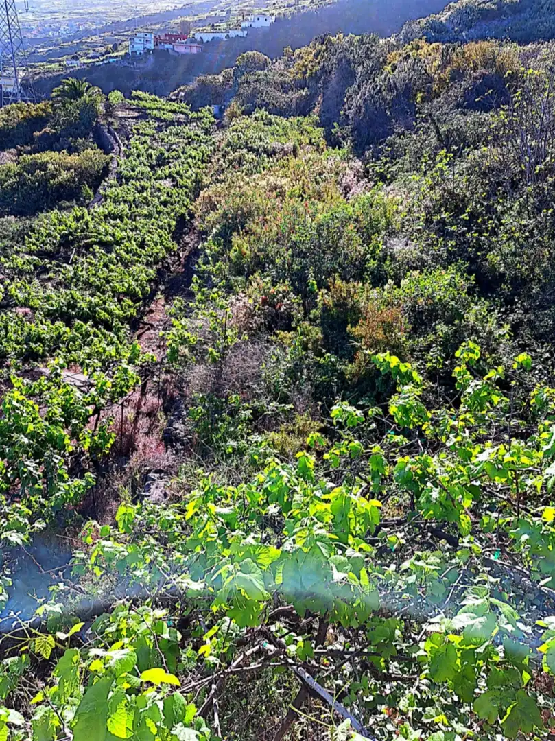 Rural land for sale in La Corujera, imagen 4