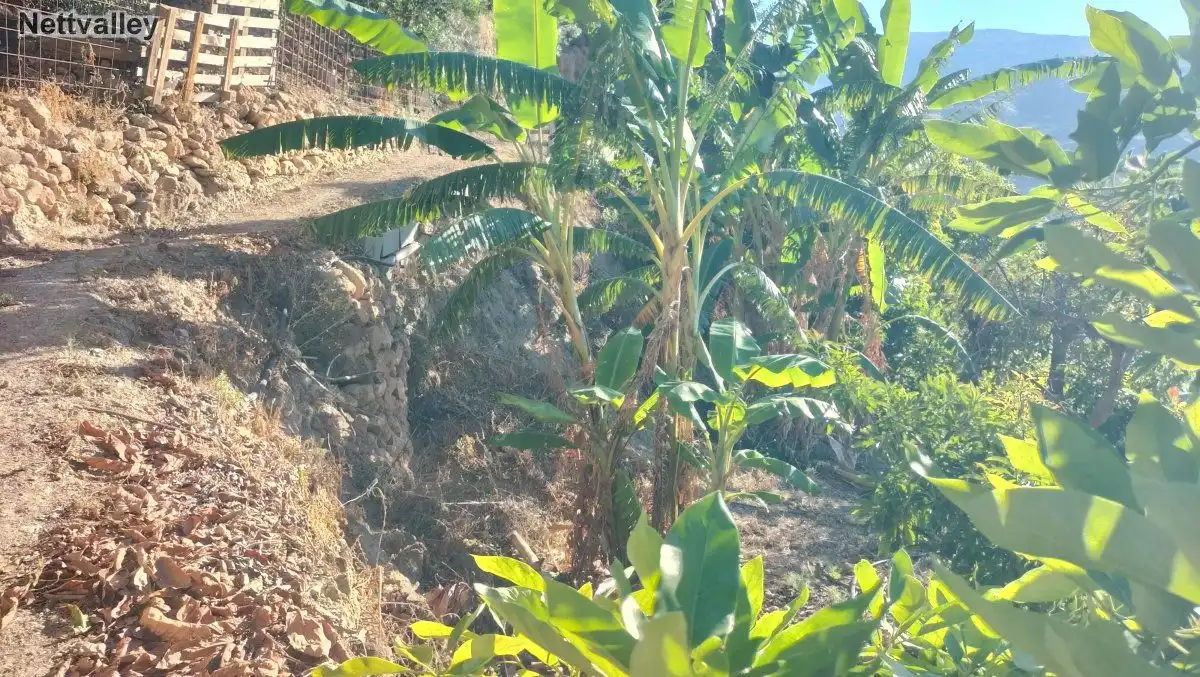 Terreni e lotti in vendita a CAMINO DE PINOS DEL VALLE, imagen 5