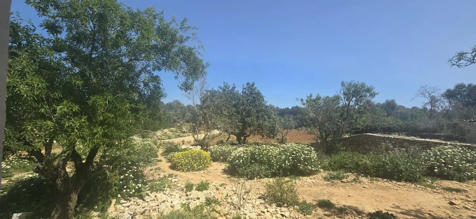 Country house zum Verkauf in Santanyí mit Klimaanlage, Privatgarten und Terrasse